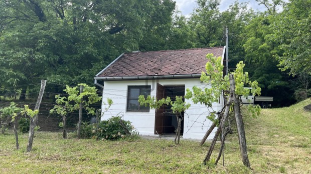 Szeksz�rdon a J�zan d�l�ben j� �llapot� tanya elad�!