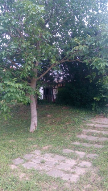Szekszárdon eladó tanya
