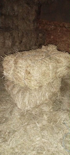 Sz�nab�la kis kocka elad�