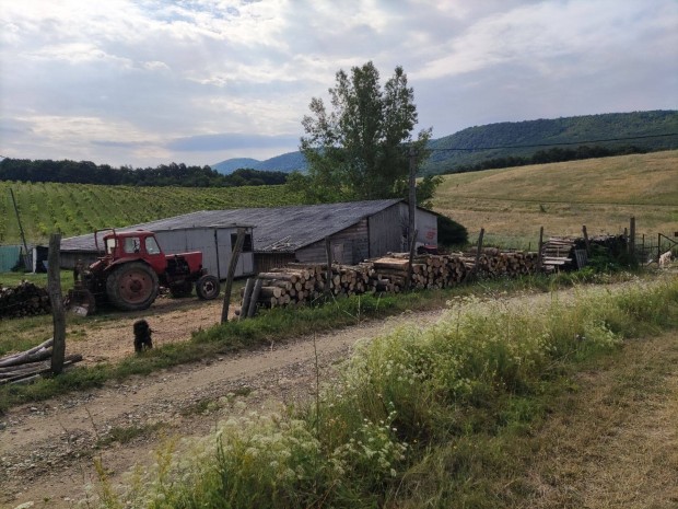 Szendehelyen Tanya és gazdaság eladó 700m2 épület