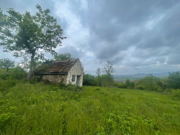 Szent Gy�rgy-hegyen elad� telek kis pr�sh�zzal