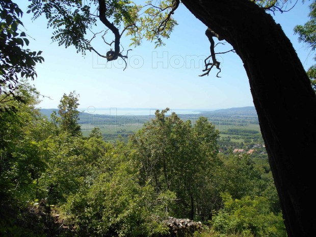 Szent Gyrgy-hegyi rkpanorma, j tulajra vr ma.