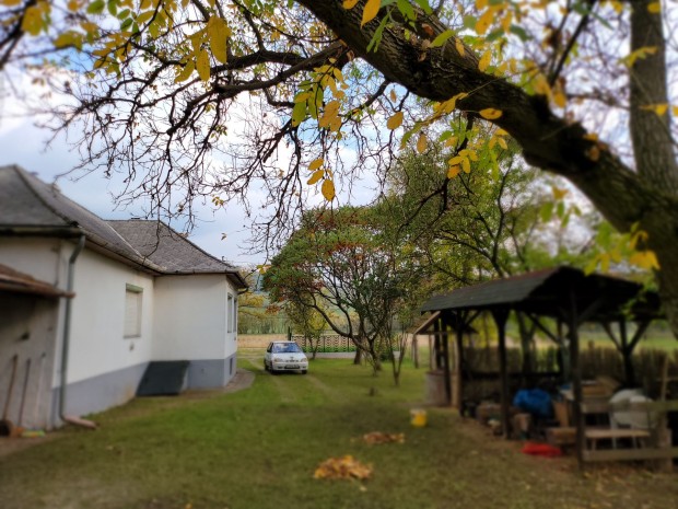 Szentdomonkosi  96 nm-es  csal�di h�z ak�cossal, nagy kerttel elad�.