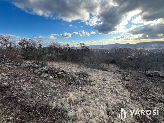 Szentendrei panor�ma!