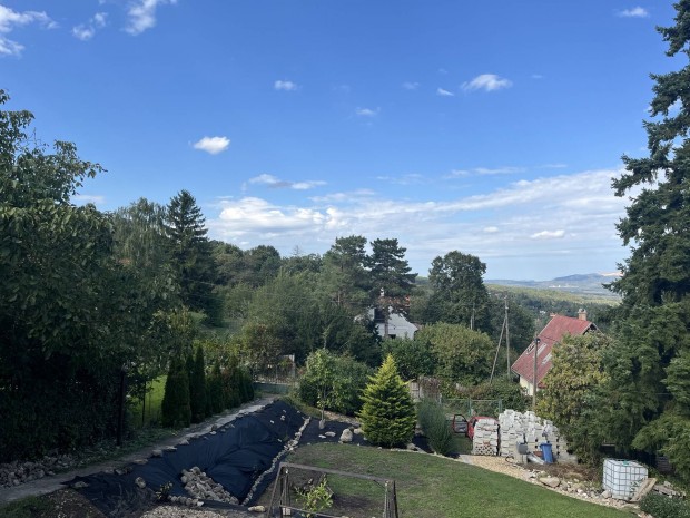 Szentendrei telek faházzal