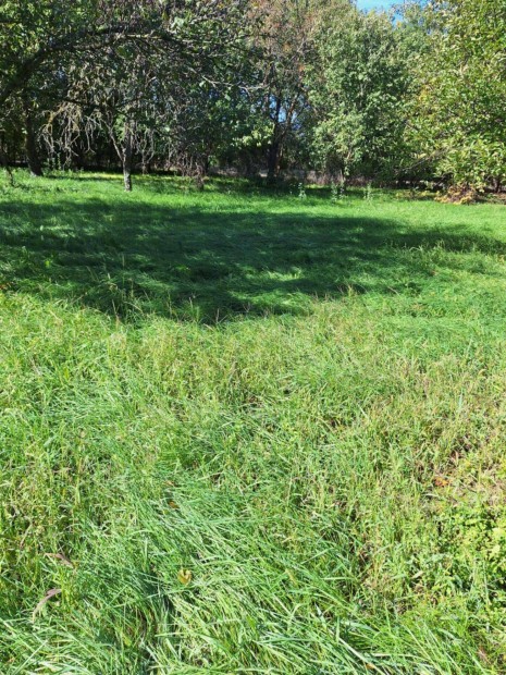 Szentes Kurca parti telek