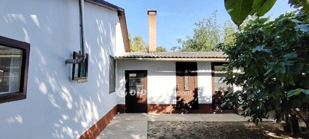 Szentes, Berekh�t, takaros kis h�zik� kicsi kerttel