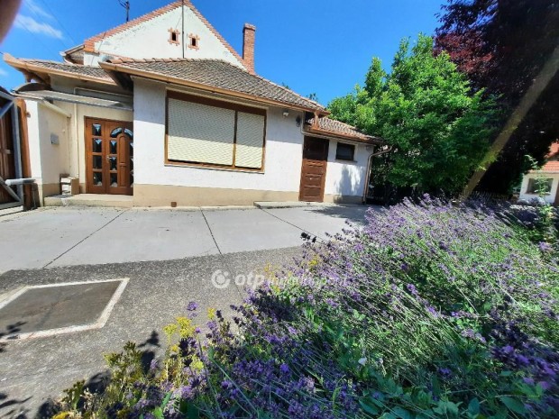 Szentesi 152 nm-es h�z elad�