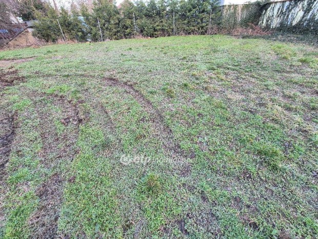 Szentesi 350 nm-es telek elad�