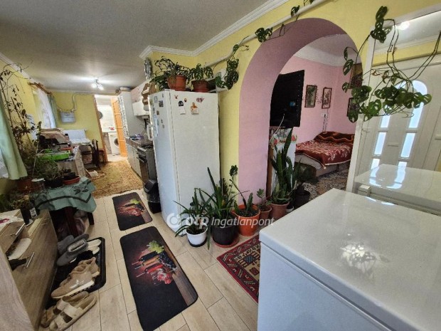 Szentesi 55 nm-es h�z elad�