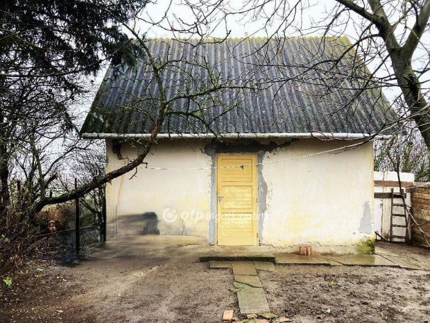 Szentesi elad� 25 nm-es h�z