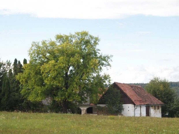 Szentgotthrdon ptsi telek elad