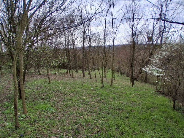 Szentgy�rgyv�r csendes,nyugodt r�sz�n telek elad�!