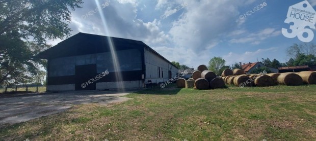 Szentkirályi 51517 nm-es mezőgazdasági ingatlan eladó
