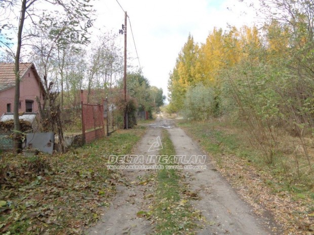 Szentm�rtonk�t�n 2203 m2 k�lter�leti sz�l� megnevez�s� ter�let elad�!