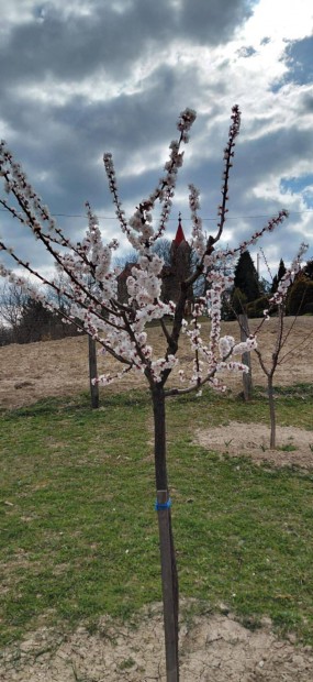 Szeretne egy nyugodt kikapcsol�d�sra alkalmas ingatlant?