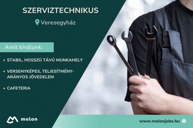Szerviztechnikus