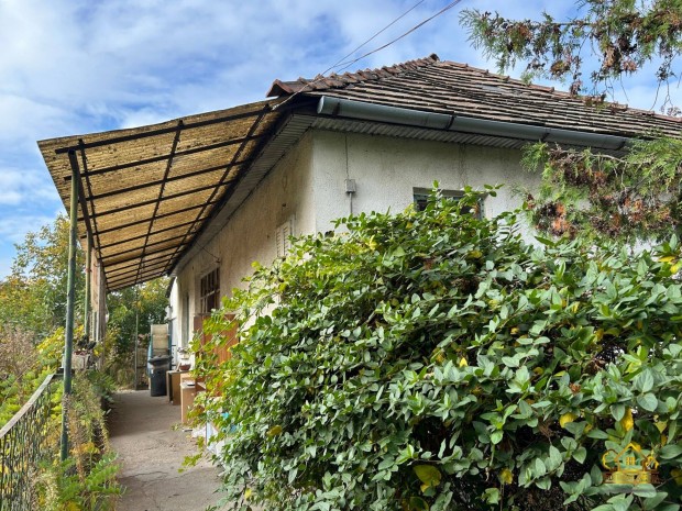 Szigethalmon 1700 m2-es tanya �s sz�nt� 2 k�l�n�ll� h�zzal! 1186