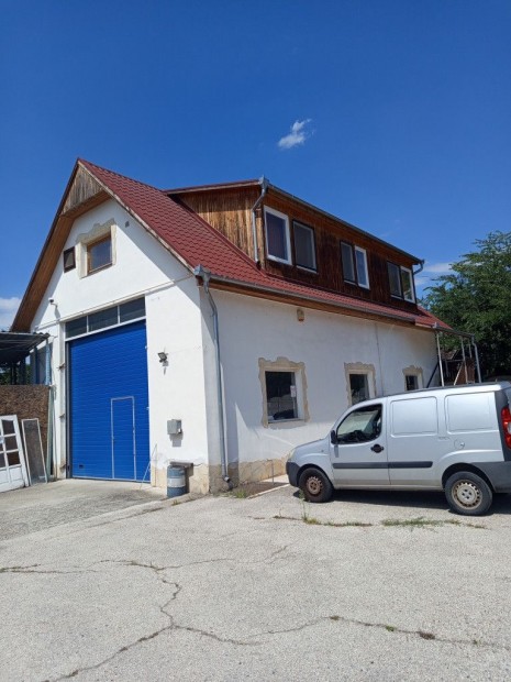 Szigethalom, Fiumei kzeli utca, 182 m2-es, zlethelyisg utcai