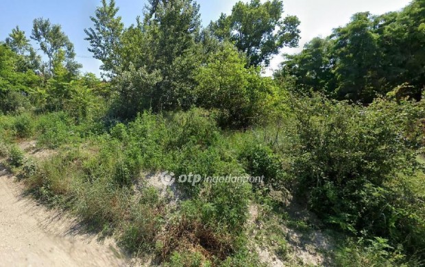 Szigetszentmikl�si 2673 nm-es telek elad�