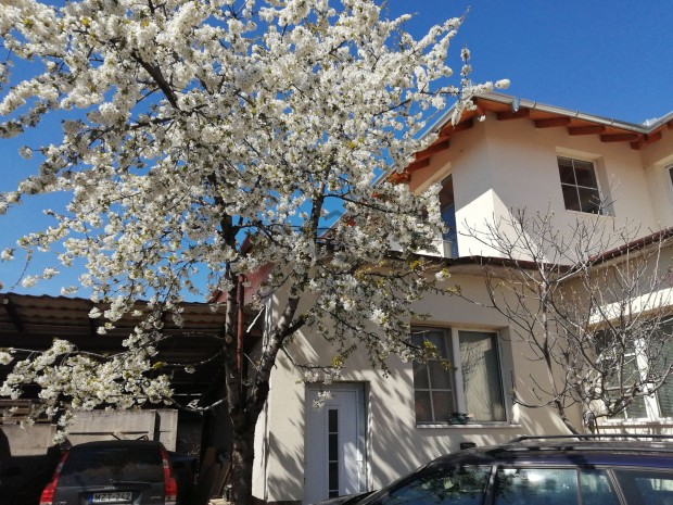 Szigetszentmikl�si nagy h�z csal�doknak vagy v�llalkoz�sra