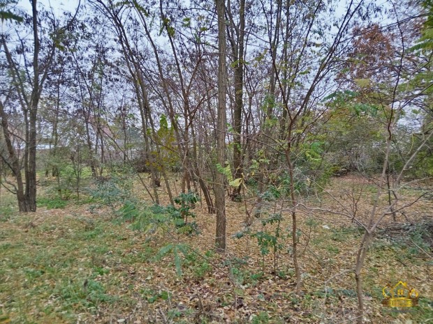 Szigetszentmikl�son 2776 m2-es �p�t�si telek! 1101