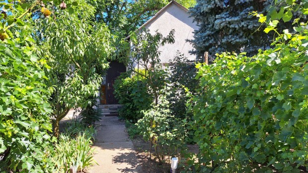 Szikigyakorban gy�m�lcs�skert kis h�zzal elad�