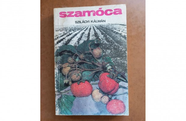 Szilgyi Klmn: Szamca