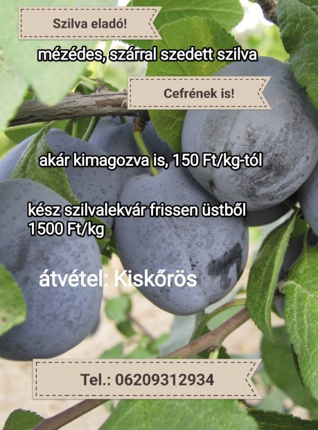 Szilva cefrnek, lekvrnak