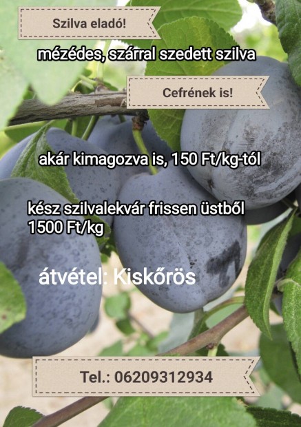 Szilva cefrnek, lekvrnak