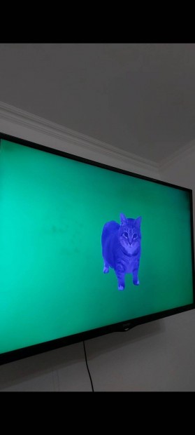 Szn hibs TV 133x66 cm