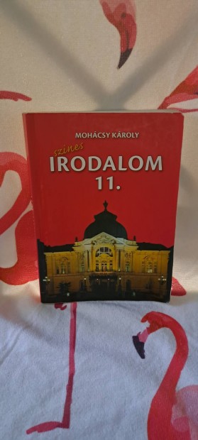 Sznes Irodalom 11 tanknyv 