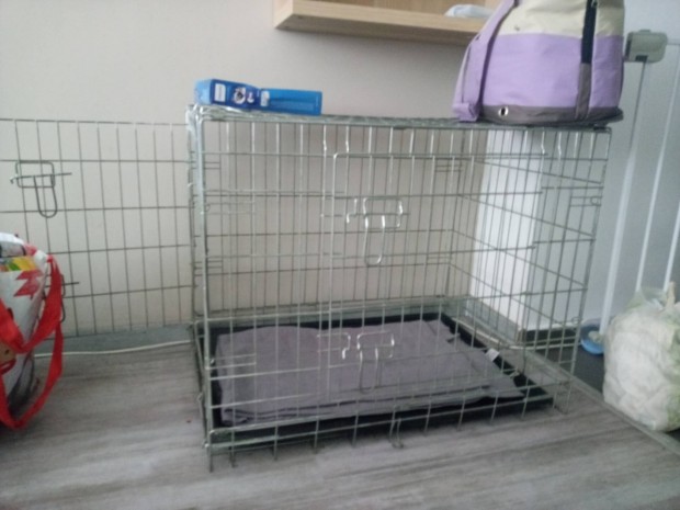 Szoba kennel, kutya kennel eladó