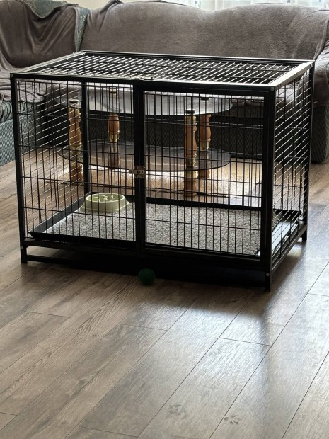 Szoba kutya kennel