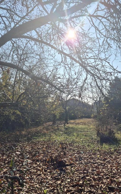 Szolnok Alcsisziget elad� telek