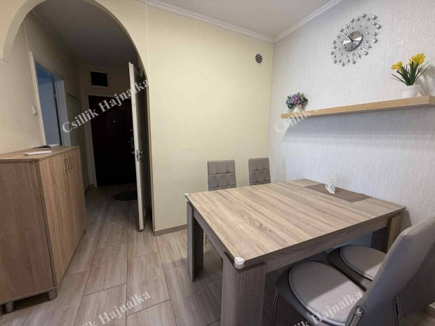 Szolnok Orosz György utca 54 m2-es, bútorozott, gépesített lakás
