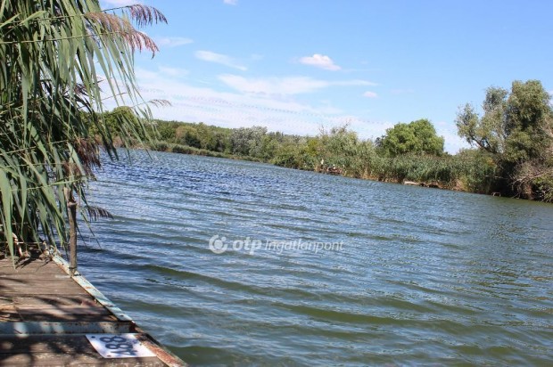 Szolnoki 105 nm-es h�z elad�