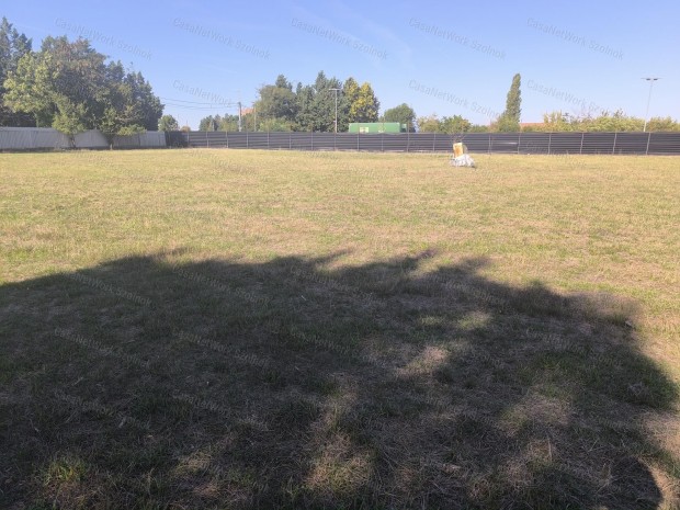 Szolnoki telephely kiad�!