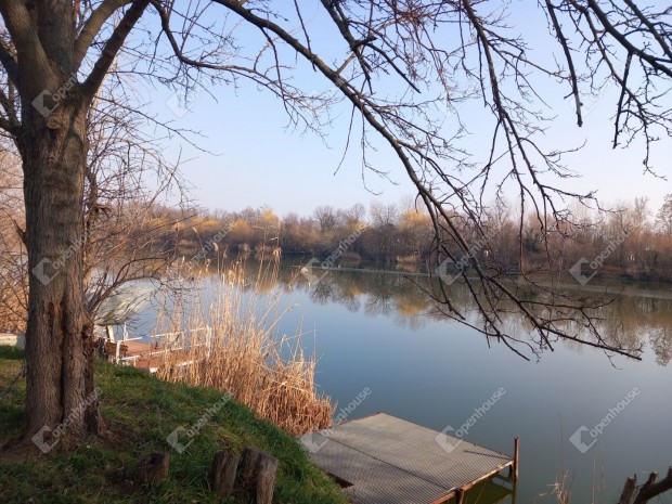 Szolnokon 4 szobás családi ház eladó Holt Tisza mellett