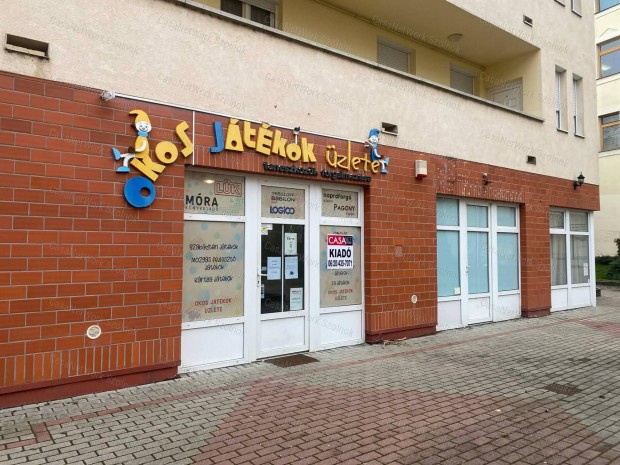 Szolnokon a T�fen�k �ton �zlethelyis�g kiad�!