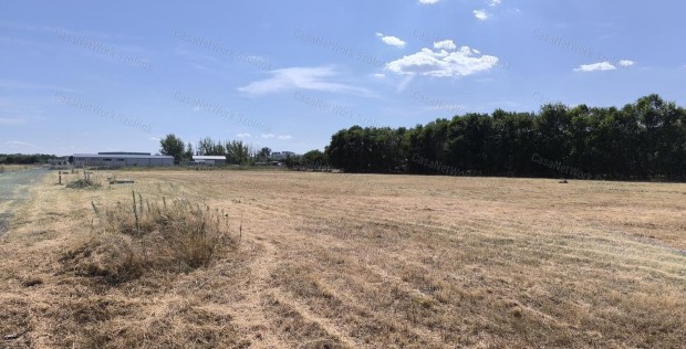 Szolnokon ipari ter�leten elad� k�zm�ves�tett telek!