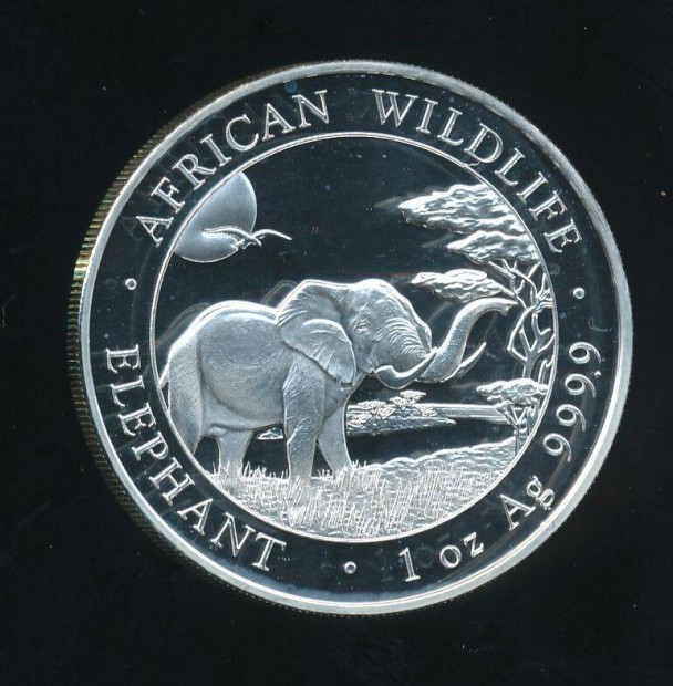 Szomália 1 uncia ezüst 2019, Afrikai vadon élő elefánt