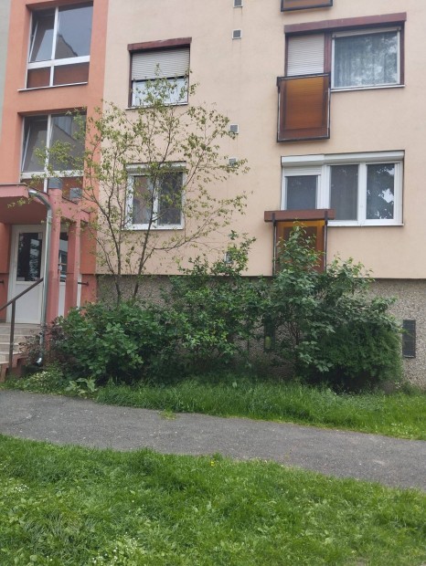 Szombathelyen 2 szobás, magasföldszinti lakás hosszú távra kiadó!