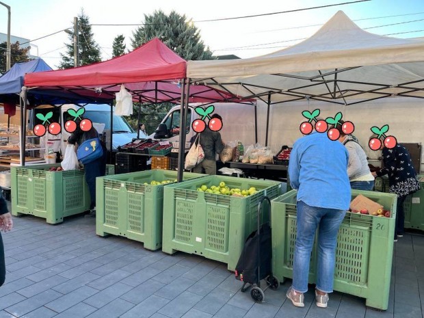 Szombati piacra munkatrsat keresnk