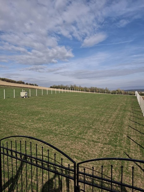 Szomor Kakukk-hegy,  kert 