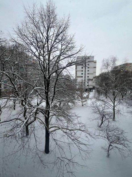 Szuper beoszt�s� b�k�smegyeri lak�s