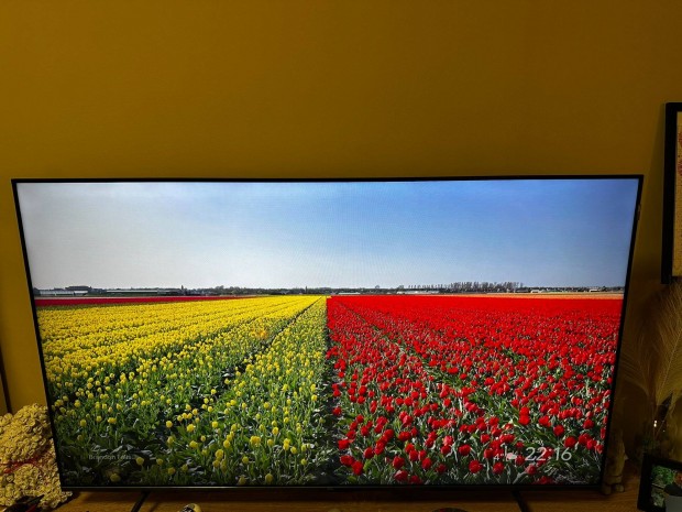 TCL 55C655 4K Qled TV (Garis)