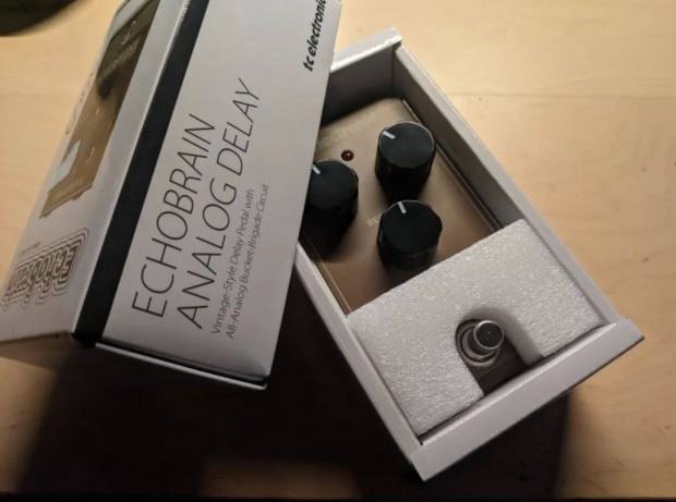 TC Electronic Echobrain delay