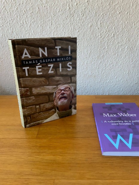 TGM - Antitzis + ajndk Max Weber