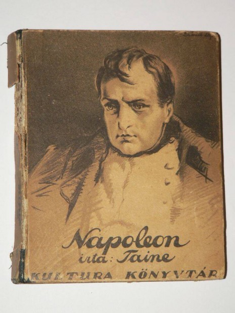 Taine Napoleon / antik knyv